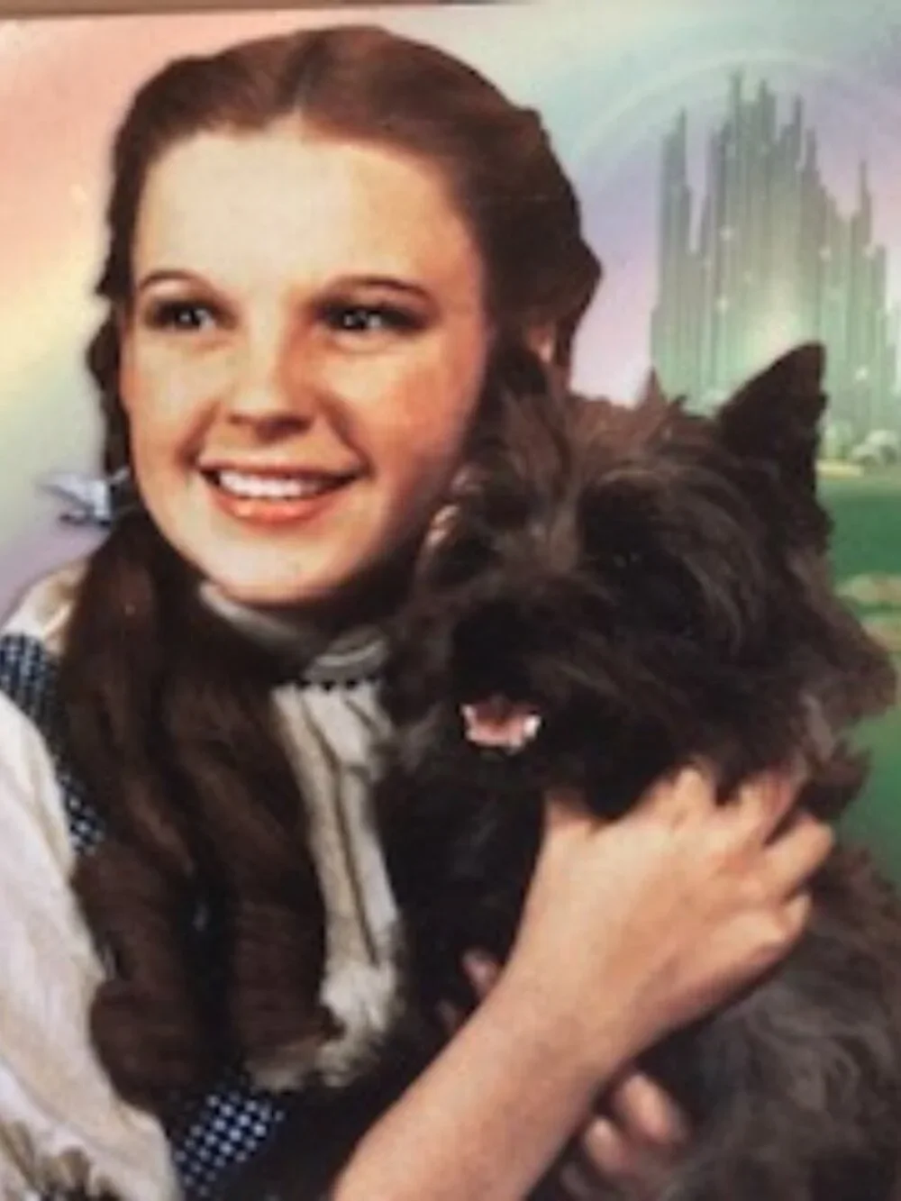 WIZARD OF OZ TIN SIGN